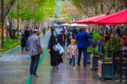 بقایی: اقتصاد شهر با رونق گردشگری بهبود می‌یابد