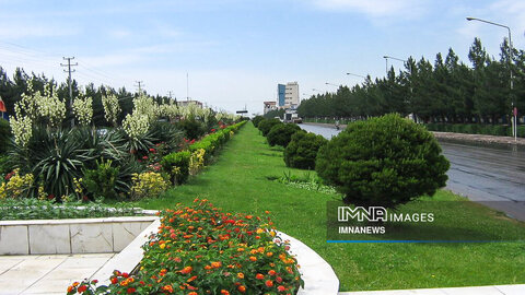 توسعه فضای سبز در یزد صرفاً با گیاهان مقاوم انجام می‌شود