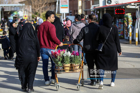 بازار گل و گیاه نوروز