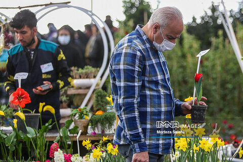 جشنواره فروش ویژه گل در بازار گل و گیاه همدانیان