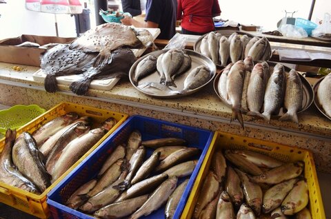 وضعیت بازار ماهی و سرانه مصرف آن در استان اصفهان