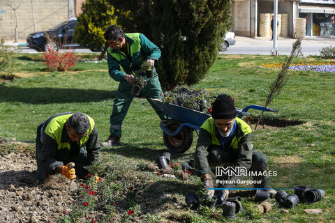 کاشت ۶ هزار انواع گل فصلی در سمنان