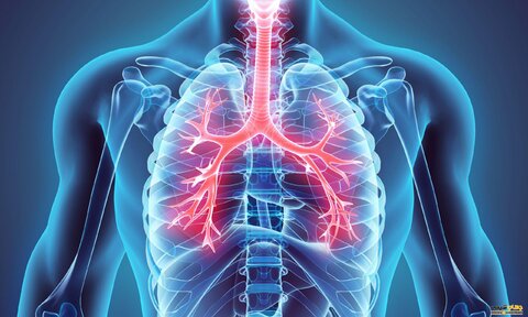 تفاوت بین عفونت دستگاه تنفسی فوقانی و دستگاه تنفسی تحتانی چیست؟