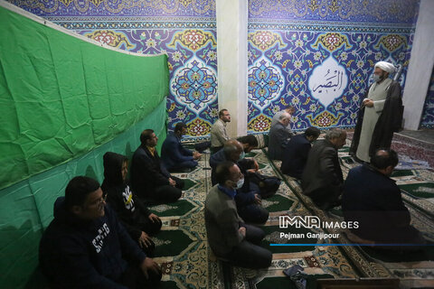 باغ فدک در هشتمین روز بهار