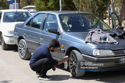 باغ فدک در هشتمین روز بهار