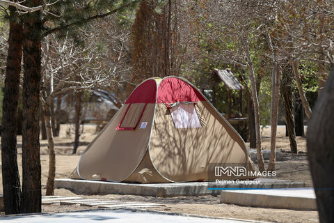 باغ فدک در هشتمین روز بهار