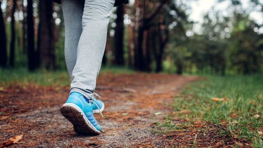 پیاده روی بهترین تحرک بدنی برای سلامت قلب