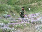 با خدا باش و پادشاهی کن