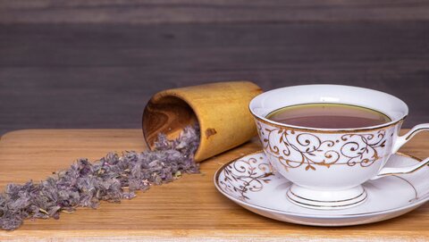 خواص چای کوهی + مضرات، طریقه مصرف و عکس گیاه پشمینه کوهی