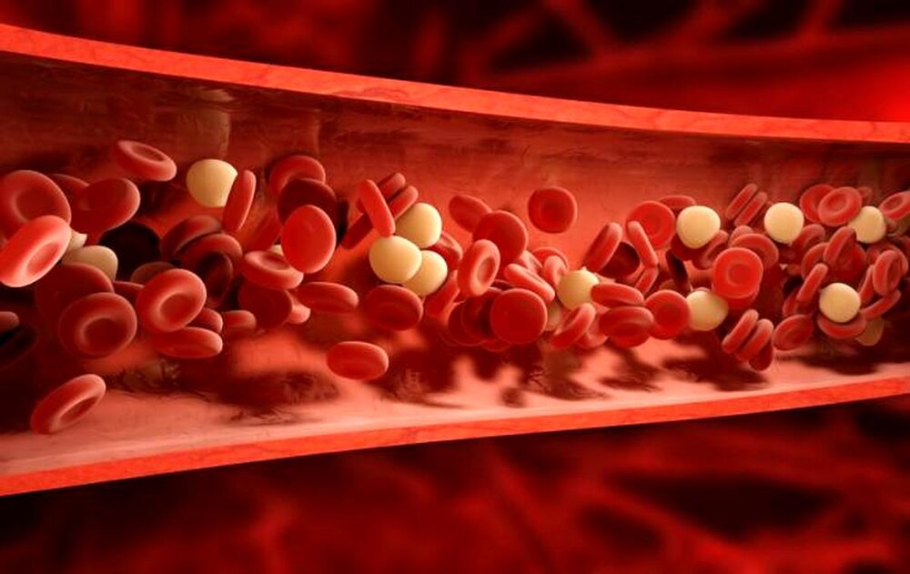 پروتئین خون احتمال ابتلا به دیابت را پیش‌بینی می‌کند