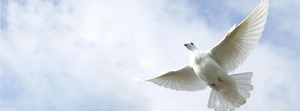 Time of Remembrance and Reconciliation for Those Who Lost Their Lives During the Second World War