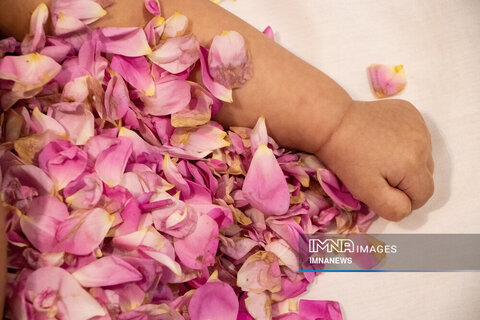  Ritual of rolling newborns in Damask roses