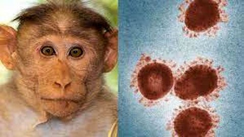 ابتلا به آبله میمونی در کشور مشاهده نشده است