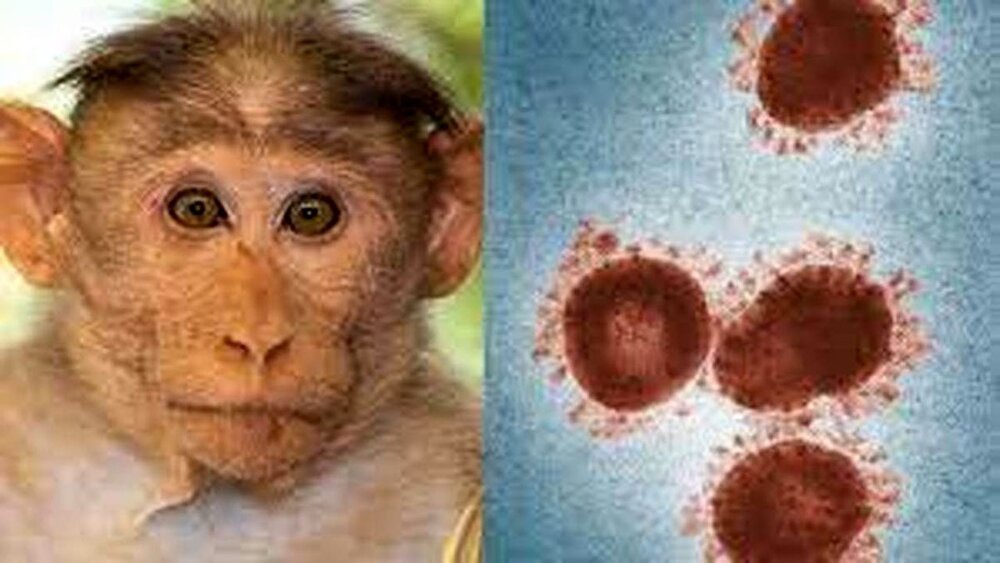 علائم و راه‌های انتقال آبله میمون چیست؟