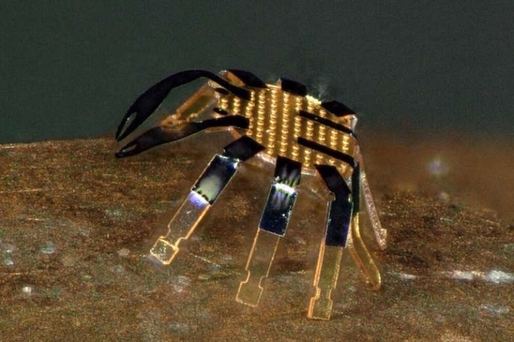 کوچک‌ترین ربات متحرک دنیا تولید شد