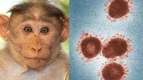 آبله میمون چگونه تشخیص داده می‌شود؟