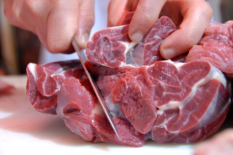 فروکش تب قیمت با گوشت وارداتی
