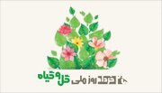 بهبود سلامت روان با نگهداری گیاهان