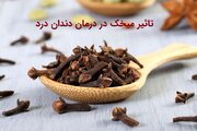 تاثیر میخک در درمان دندان درد و دلیل شکل‌گیری یک شبکه دندانپزشکی