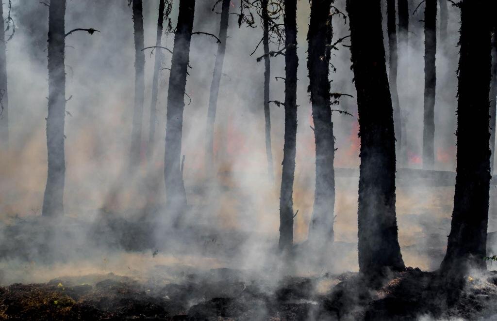 یک فروند بالگرد برای مهار آتش‌سوزی به جنگل‌های شمال غرب اعزام شد