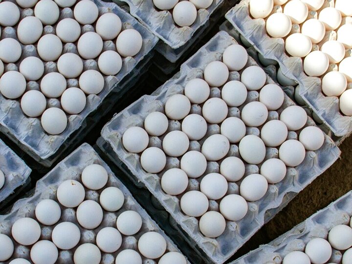 قیمت تخم‌مرغ شانه‌ای ۷۰ تا ۷۵ هزار تومان است