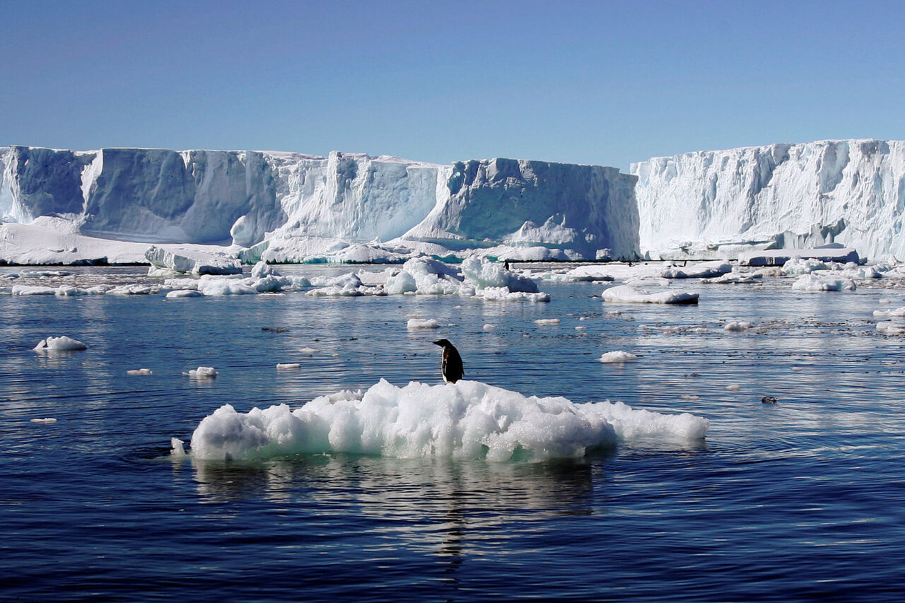 تبعات گسترش پدیده ذوب یخچال‌های طبیعی