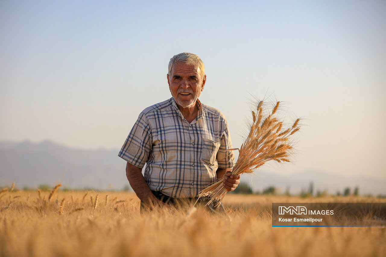 According to FAO, Iran's grain stockpile increased by 5.9% in 2022