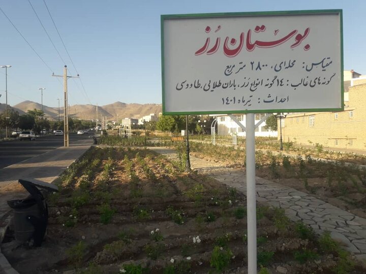 کاشت گونه‌های نایاب گل در پارک رز زنجان 