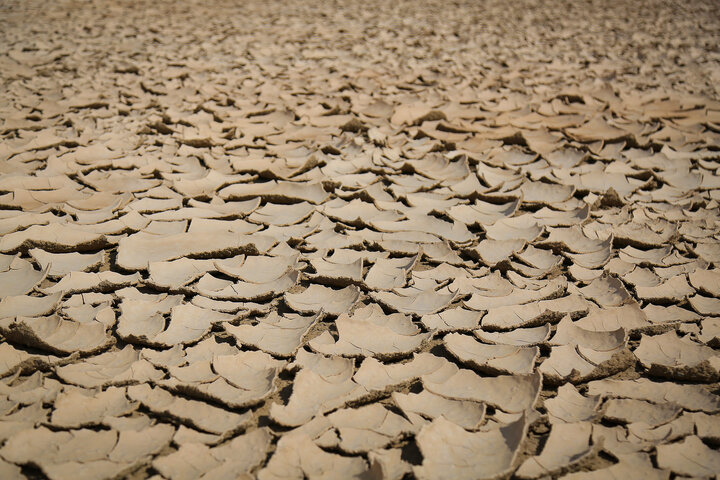 Flash floods filled dried-up Gavkhooni wetland 