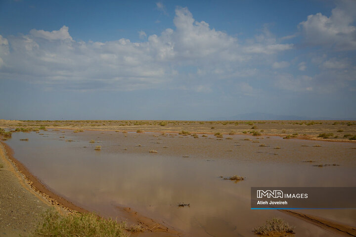 Flash floods filled dried-up Gavkhooni wetland 