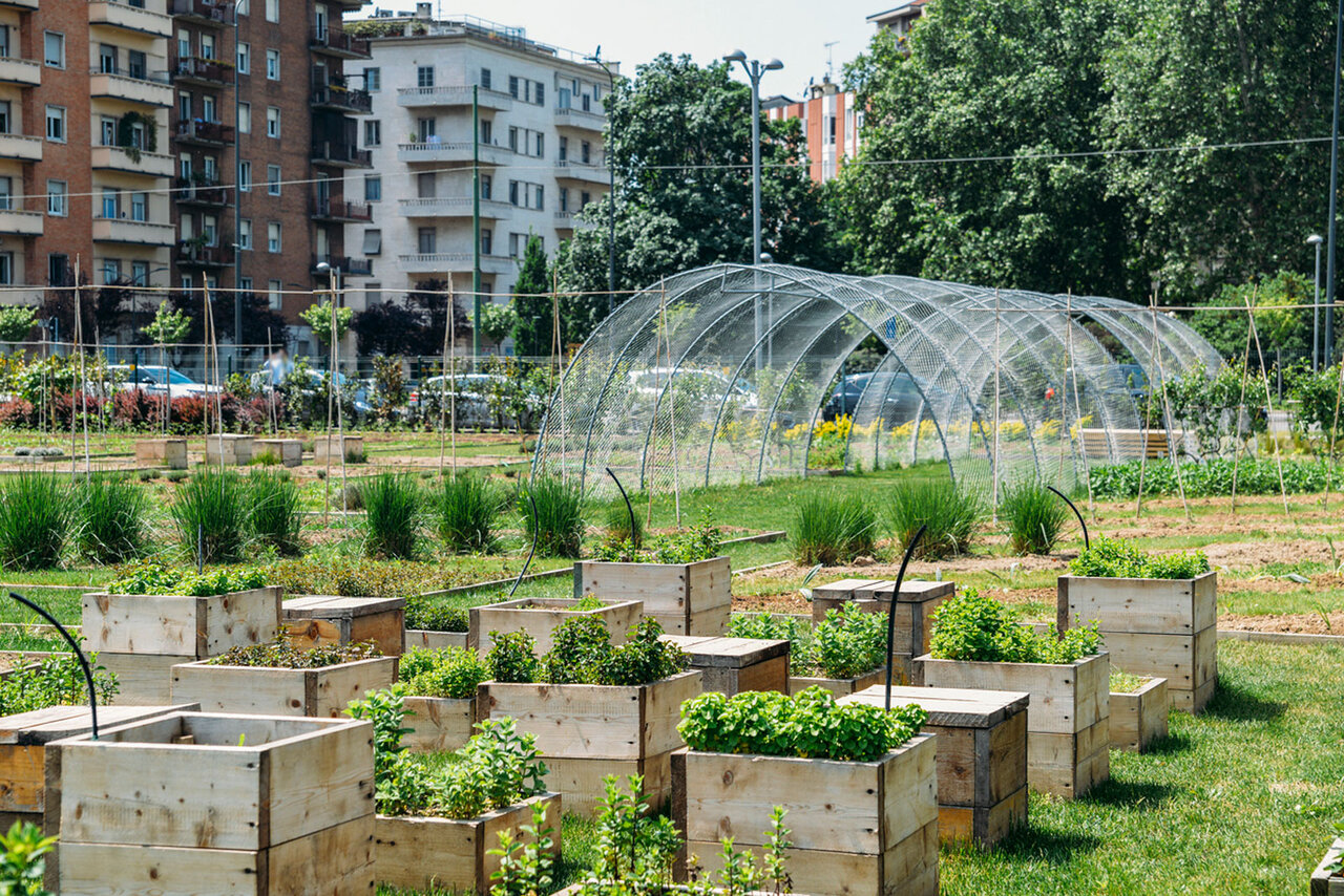تدابیری برای توسعه کشاورزی شهری
