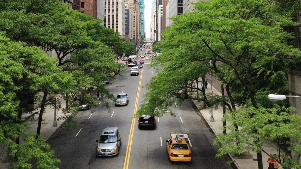 اهمیت وجود درختان در شهرها برای مبارزه با تغییرات اقلیمی