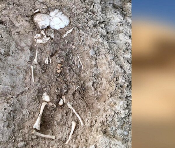 کشف اسکلت نوزاد چند ماهه در دیوار