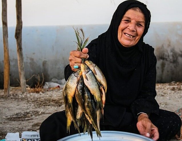 ونیز ایران را بهتر بشناسیم