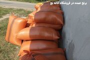 نحوه صحیح نگهداری از برنج در خانه به مدت طولانی