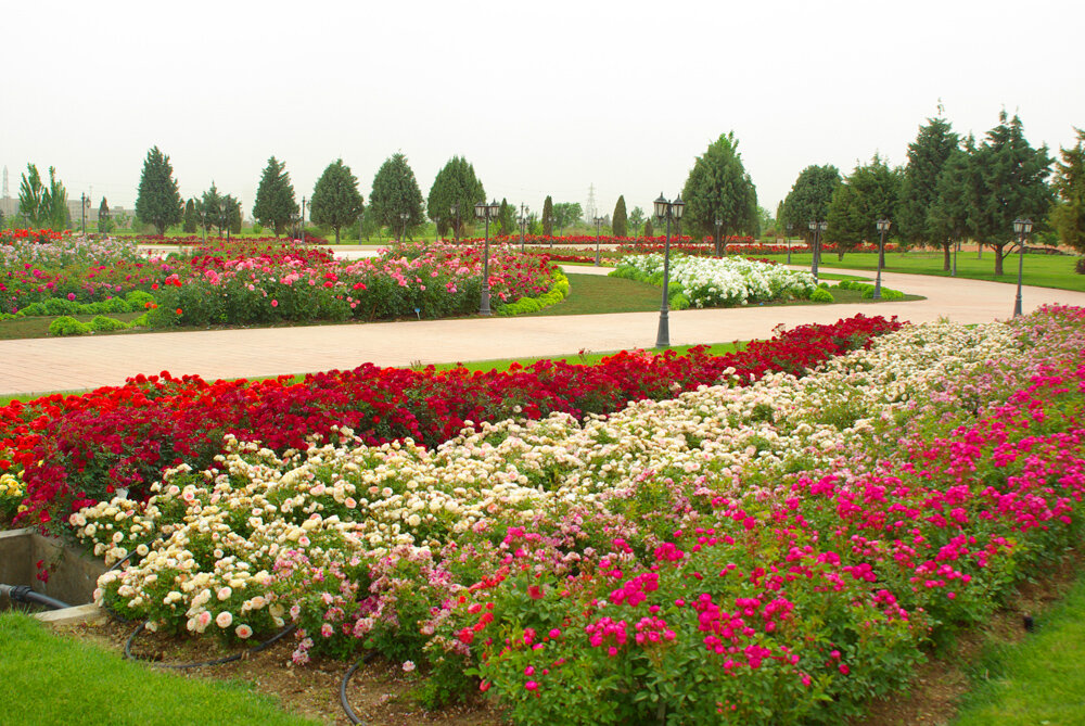 A green retreat: National Botanical Garden of Iran