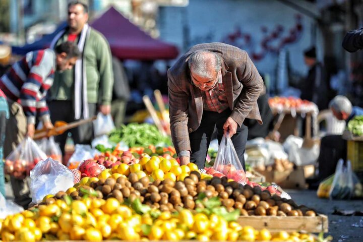توزیع میوه تنظیم بازار در ۱۰ نقطه از شهر ساری