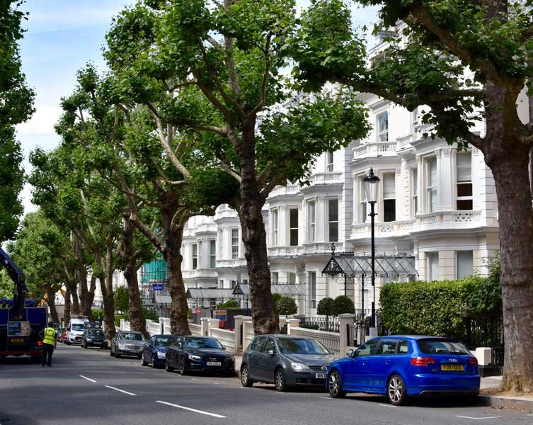 آغاز طرح درختکاری برای کاهش اثرات جزایر گرمایی در لندن
