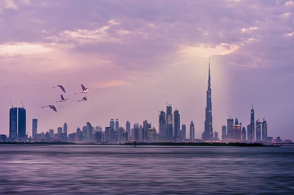 استراتژی دبی برای تسهیل تصمیم‌گیری‌های دولت