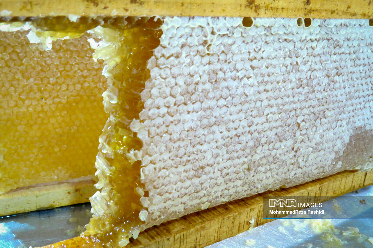 China to receive first consignment of honey from Iran