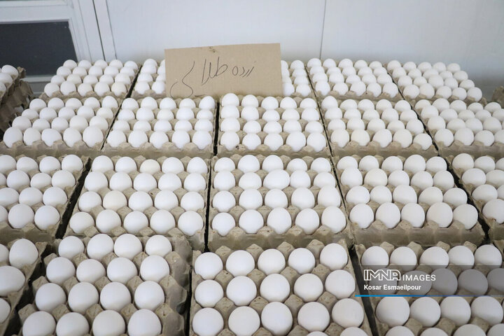 گلپایگان سومین تولیدکننده تخم مرغ استان اصفهان است