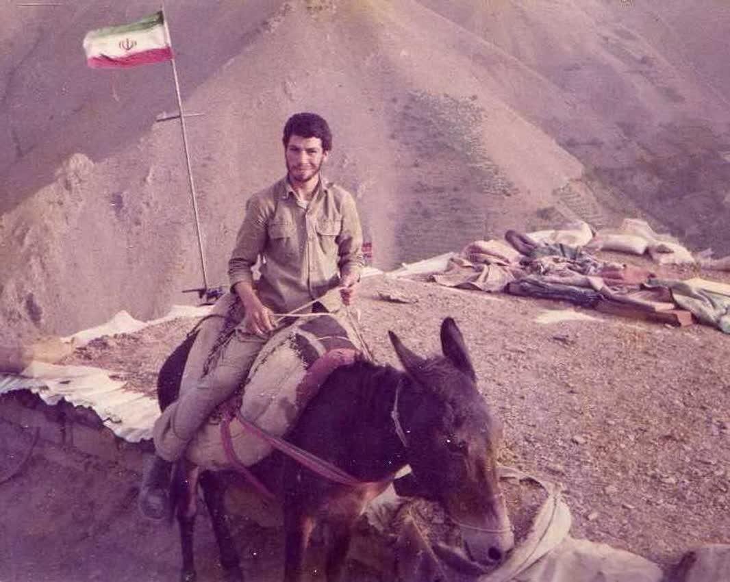 شربتِ موجگرفتگی