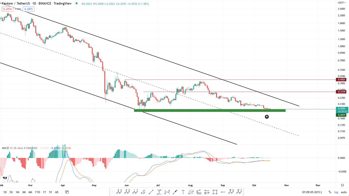 تحلیل تکنیکال رمزارز فانتوم امروز ۲۴ مهرماه+ نمودار و قیمت FTM
