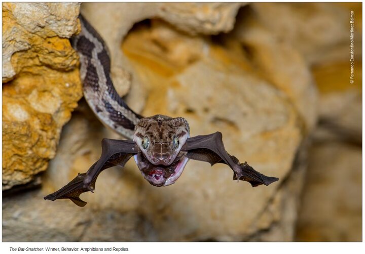 مروری بر مهمترین رویدادهای فرهنگی و هنری جهان و کشور در سالی که گذشت/بخش نخست