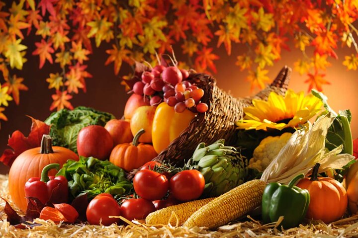 مواد غذایی مفید برای قلب در فصل پاییز