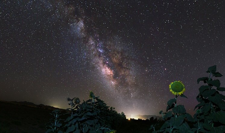 تجربه متفاوت با سفر به «کویر مصر ایران»