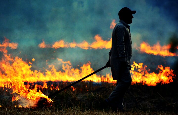 دود زمین‌های سوخته در چشم شهروندان لنجان