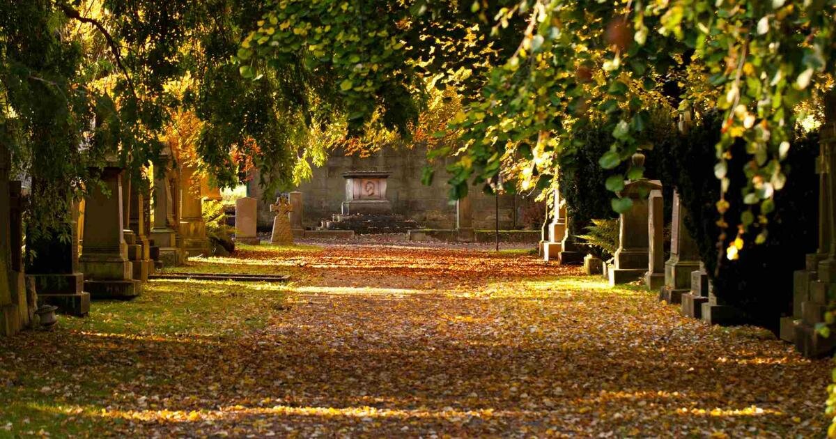 اجرای طرح گورستانگردی شهر لوون بلژیک برای کودکان