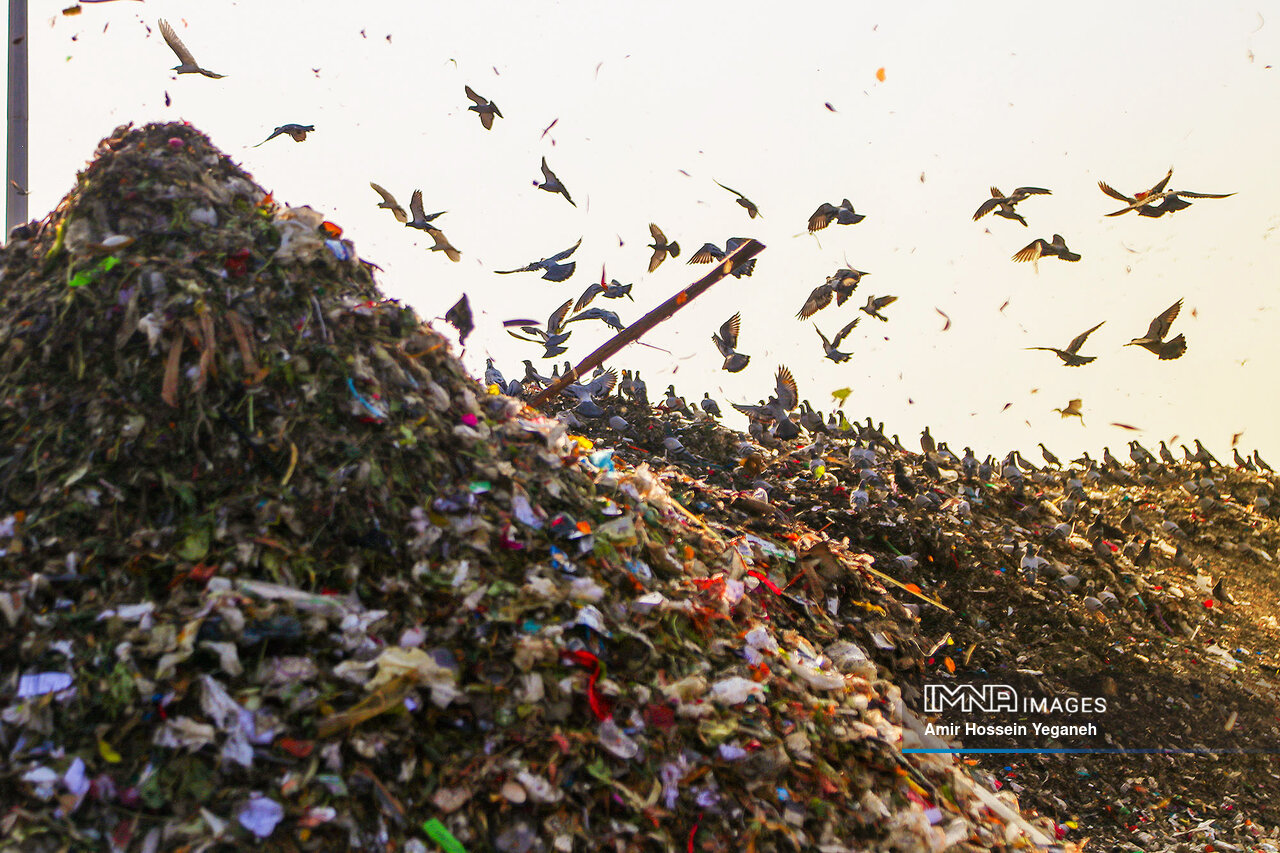 پسماند، جان طبیعت را بیصدا میگیرد