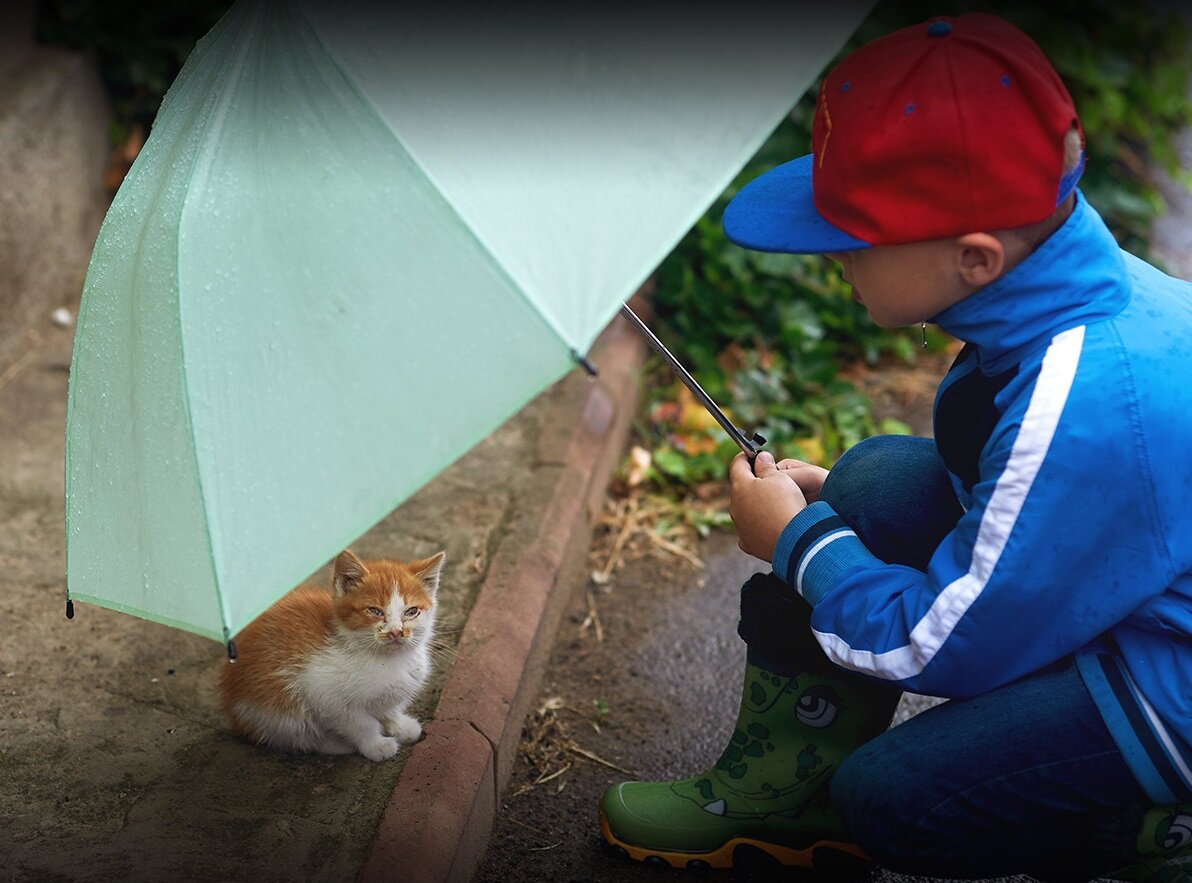 روز مهربانی 13 نوامبر